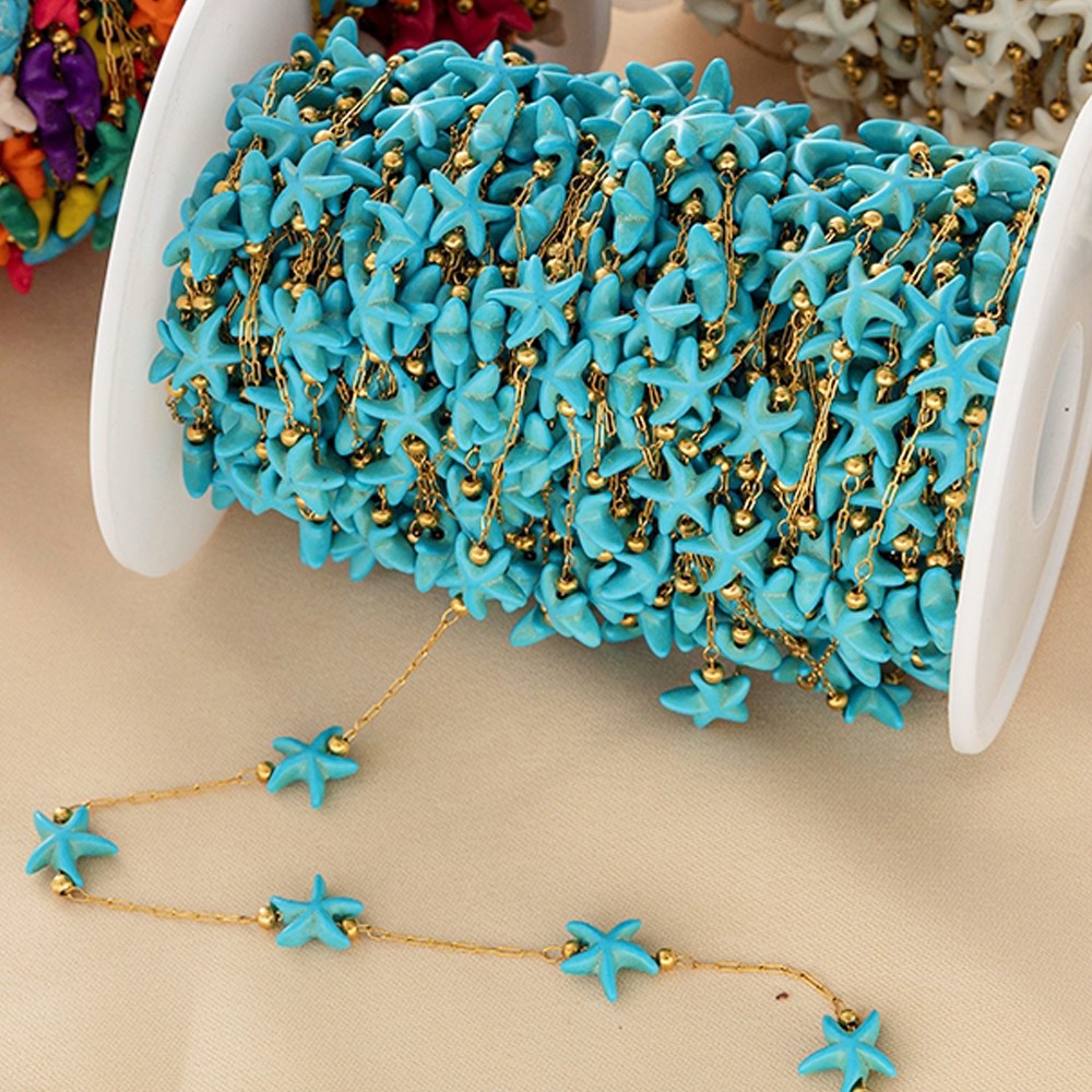 1 meter roestvrijstalen losse  - Charm Bracelet Beads recensie en prijs