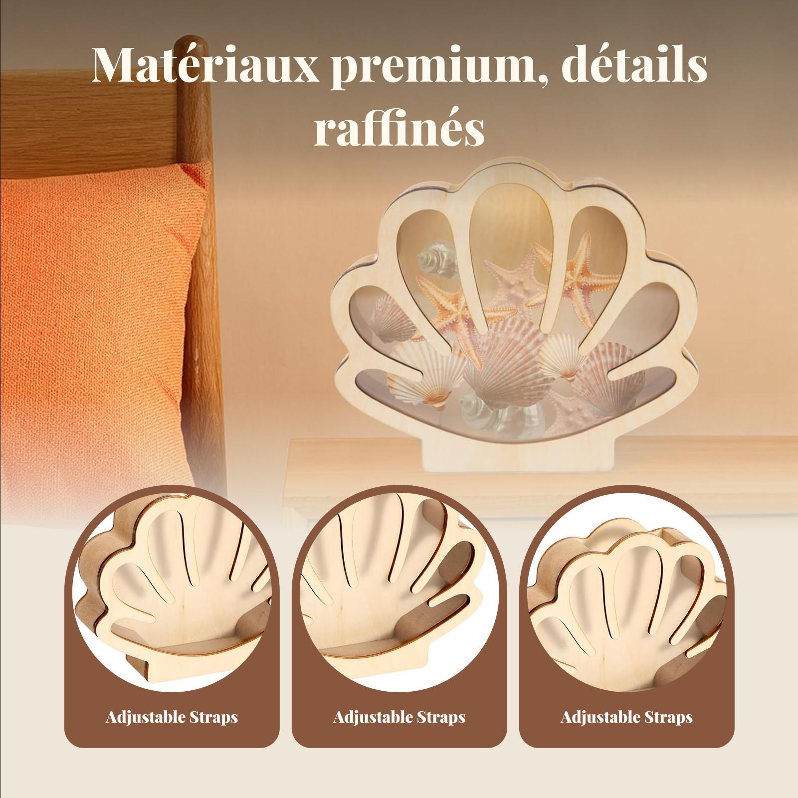 Houten Shell Display Box Colle - Collectors Coins Jewelry & Watches Of Smithtown Photos recensie en prijs